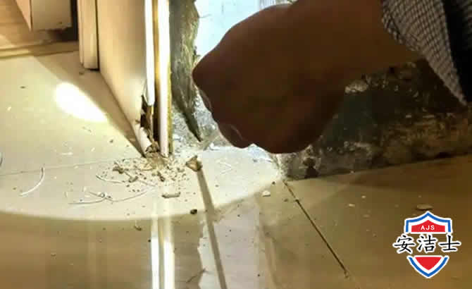 崇明区房屋建筑防治白蚁