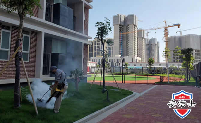 崇明区工厂工地除白蚁