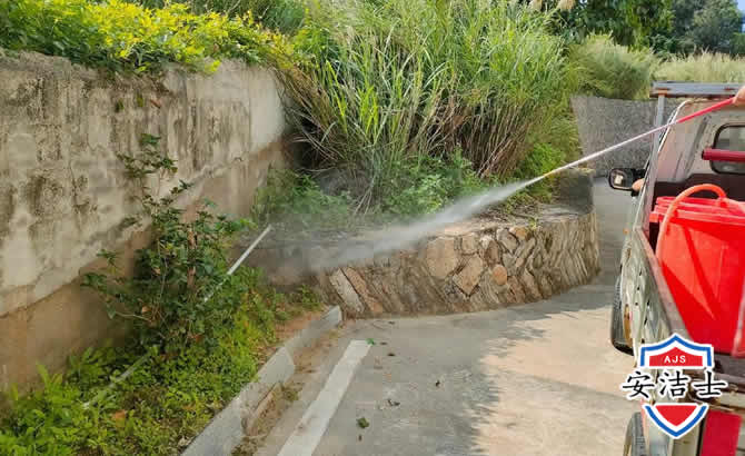 崇明区道路堤坝白蚁防治