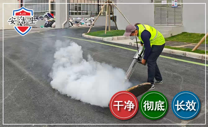 崇明区消杀防疫现场