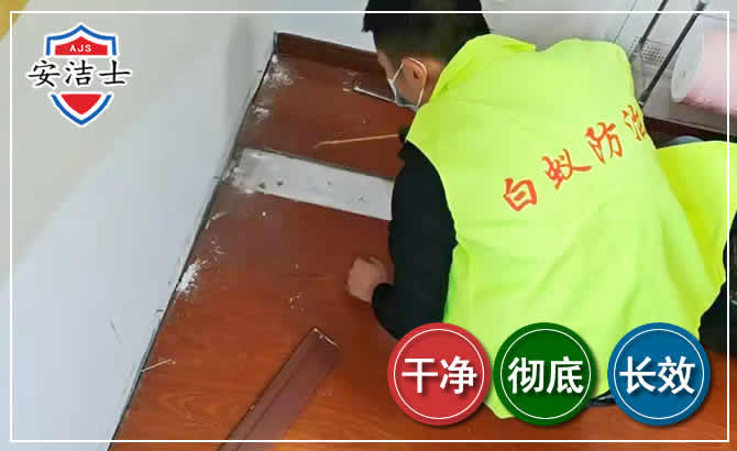 崇明区除四害现场