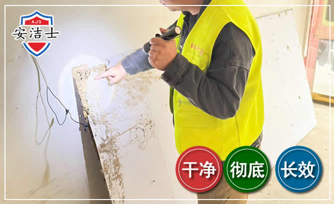 崇明区除白蚁现场