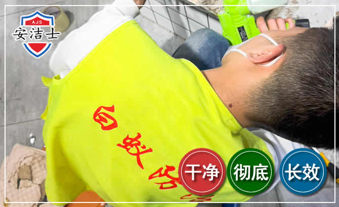 崇明区白蚁根治现场